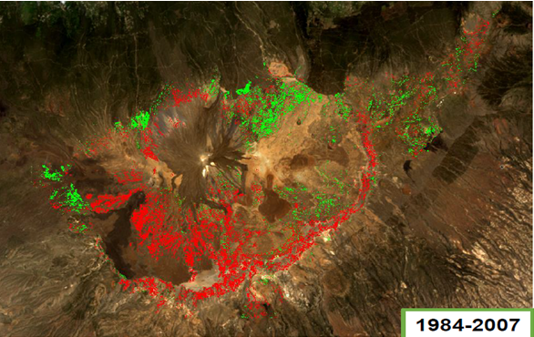 Análisis de especies vegetales en el Parque Nacional del Teide mediante el procesado de imágenes de satélites de teledetección