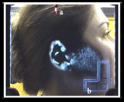 Identificación Biométrica a partir de huellas latentes de oreja
